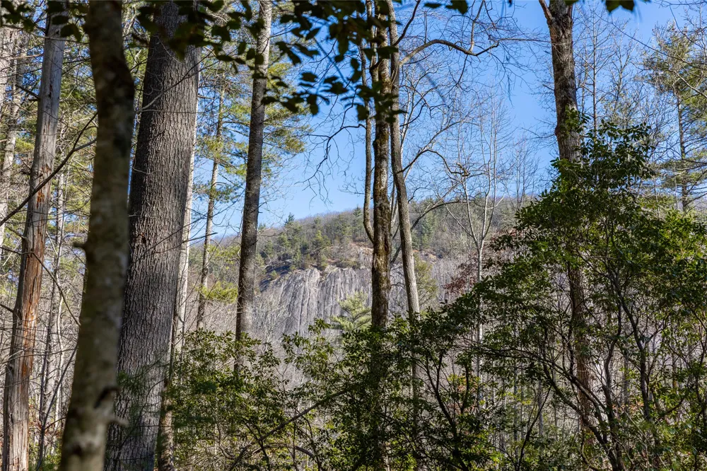 172 Lonesome Valley Road Sapphire, NC 28774