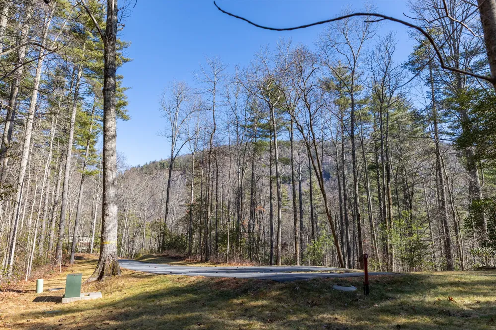 172 Lonesome Valley Road Sapphire, NC 28774