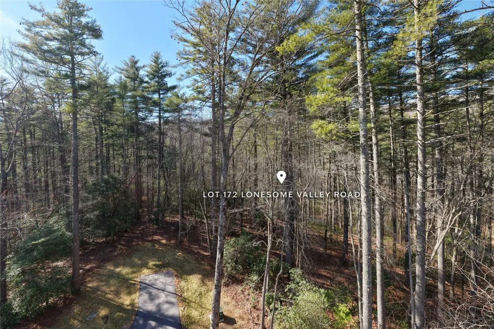 172 Lonesome Valley Road Sapphire, NC 28774