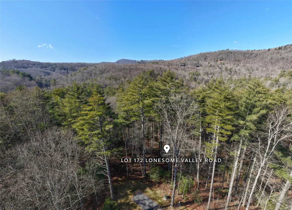 172 Lonesome Valley Road Sapphire, NC 28774