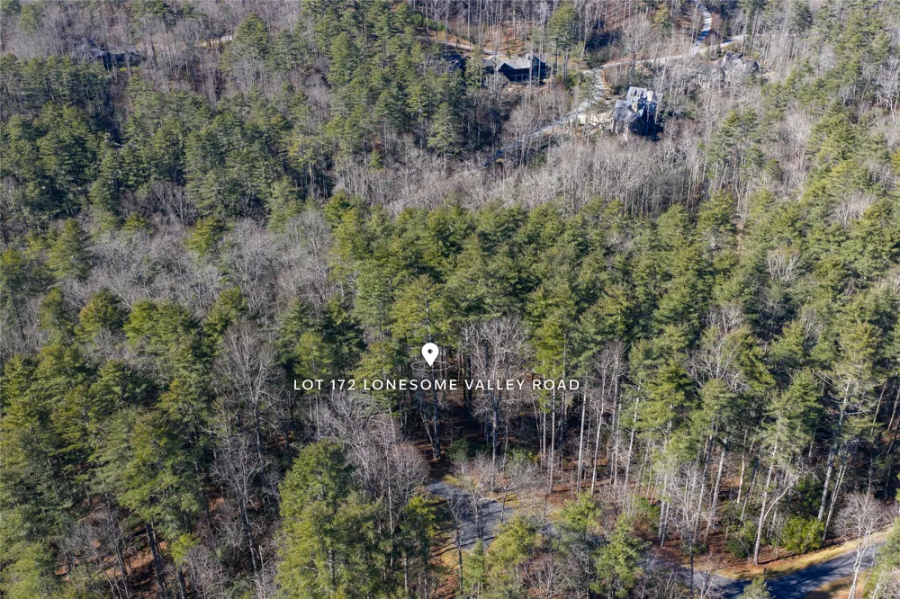 172 Lonesome Valley Road Sapphire, NC 28774