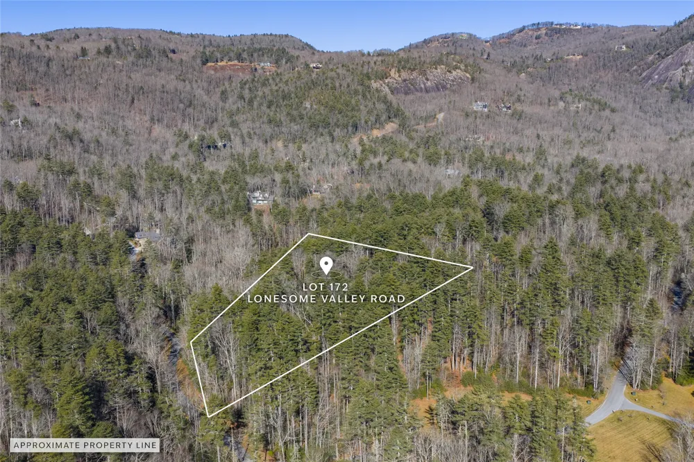 172 Lonesome Valley Road Sapphire, NC 28774