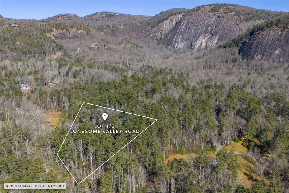 172 Lonesome Valley Road Sapphire, NC 28774