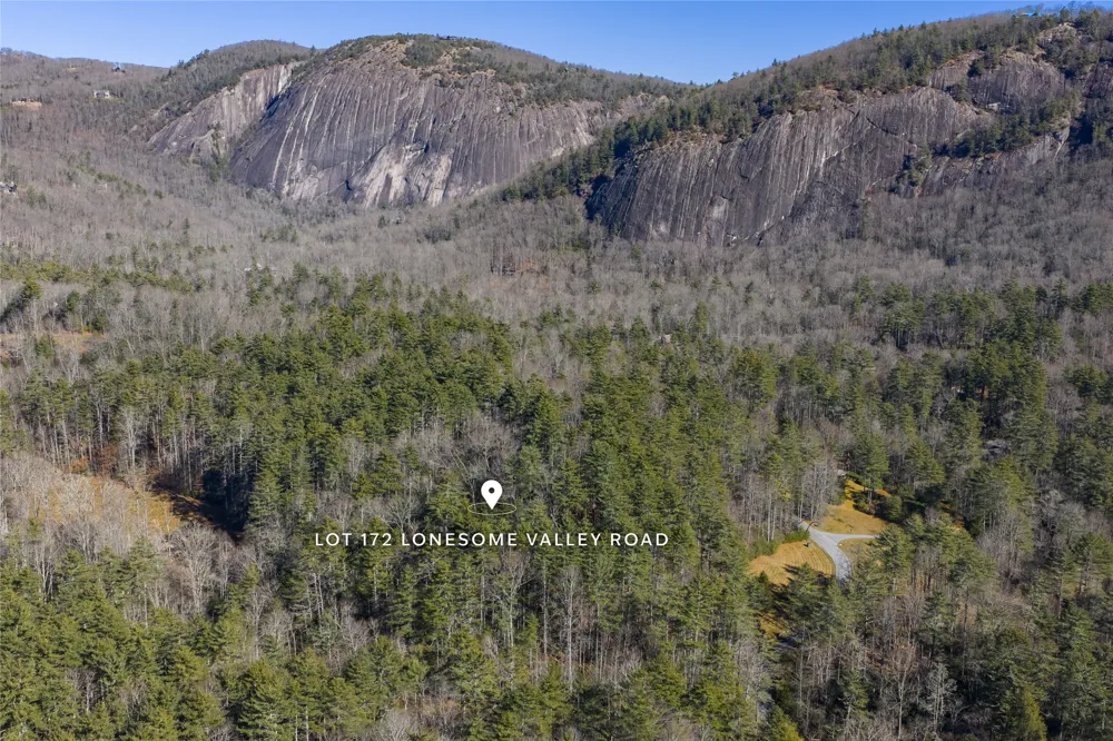172 Lonesome Valley Road Sapphire, NC 28774