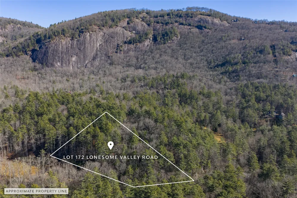 172 Lonesome Valley Road Sapphire, NC 28774