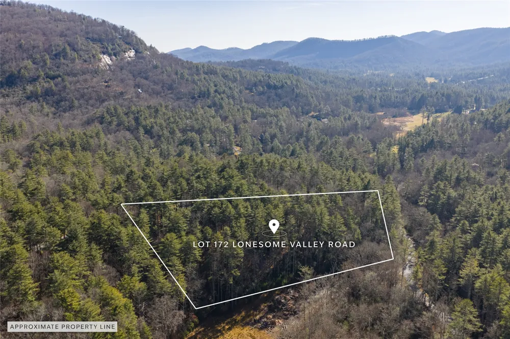 172 Lonesome Valley Road Sapphire, NC 28774
