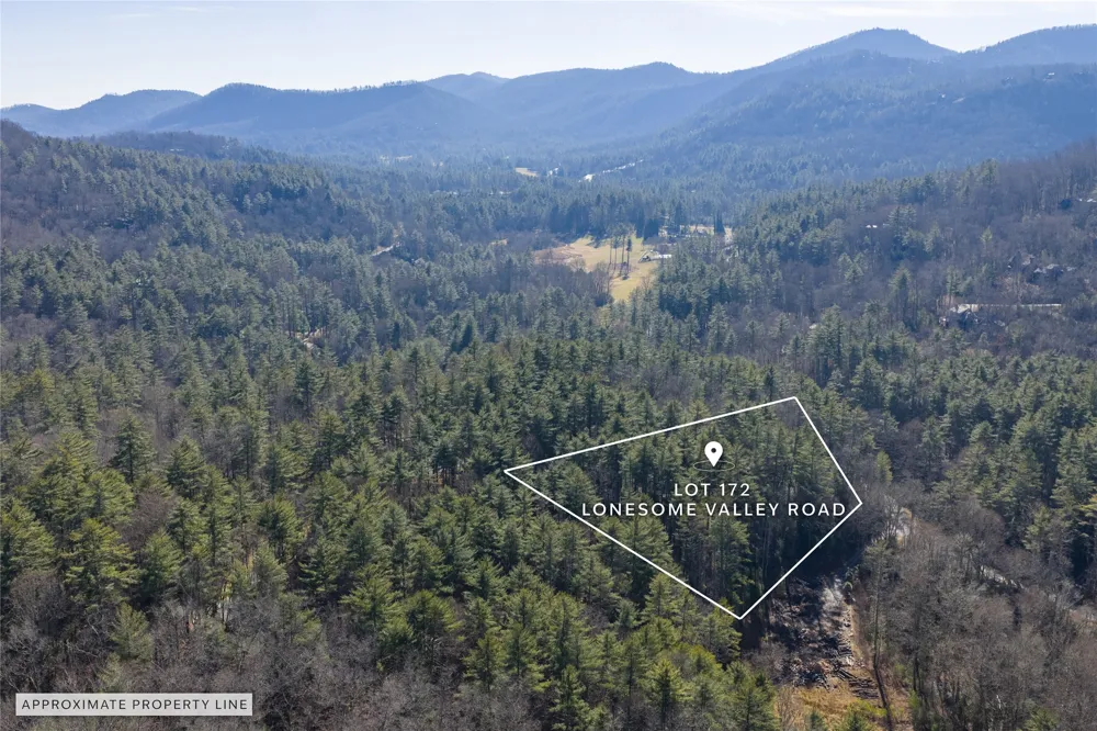 172 Lonesome Valley Road Sapphire, NC 28774