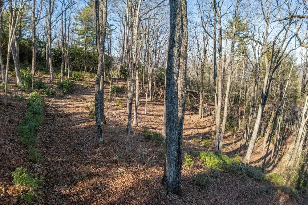 LS 25 Lakeside Trail Lake Toxaway, NC 28747