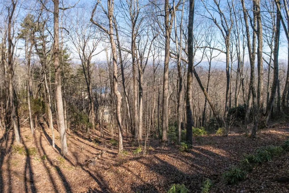 LS 25 Lakeside Trail Lake Toxaway, NC 28747