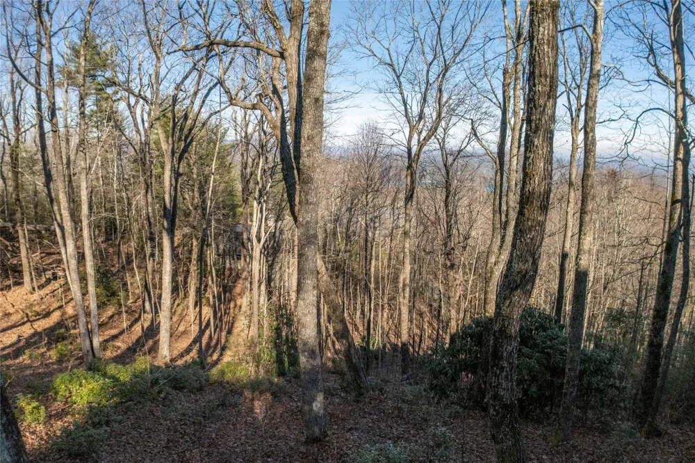 LS 25 Lakeside Trail Lake Toxaway, NC 28747