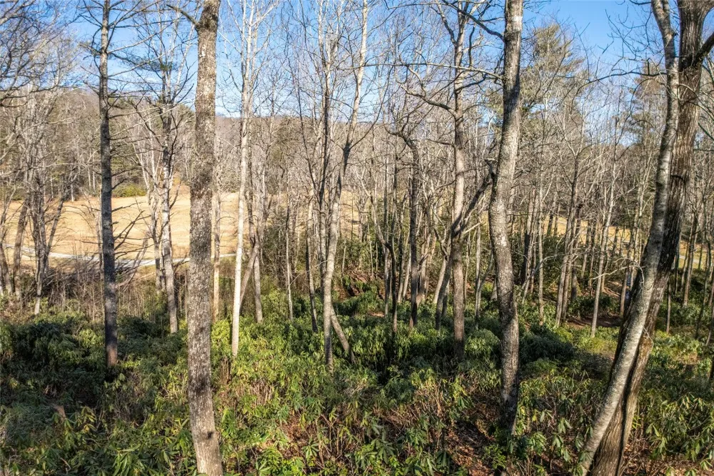 L 9A R Old Mine Point Lake Toxaway, NC 28747