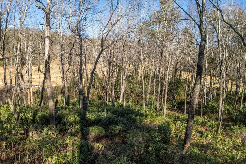 L 9A R Old Mine Point Lake Toxaway, NC 28747
