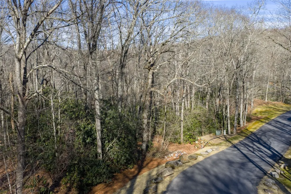 Lot 17 New Settler's Way Glenville, NC 28736