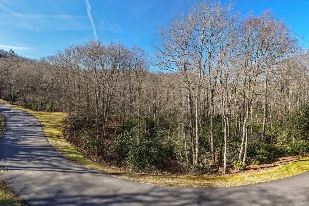 Lot 17 New Settler's Way Glenville, NC 28736