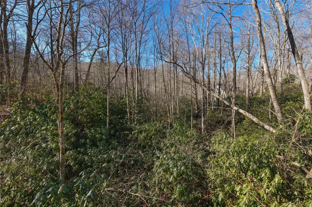Lot 17 New Settler's Way Glenville, NC 28736