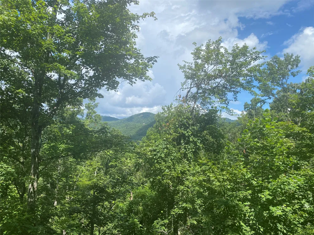 76 Parachute Ridge Glenville, NC 28736