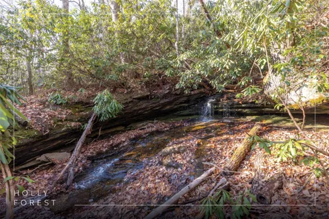 Lot 30 Rock Creek Court