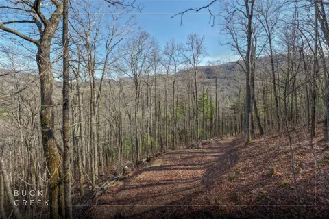 Trct 3 Buck Creek Road
