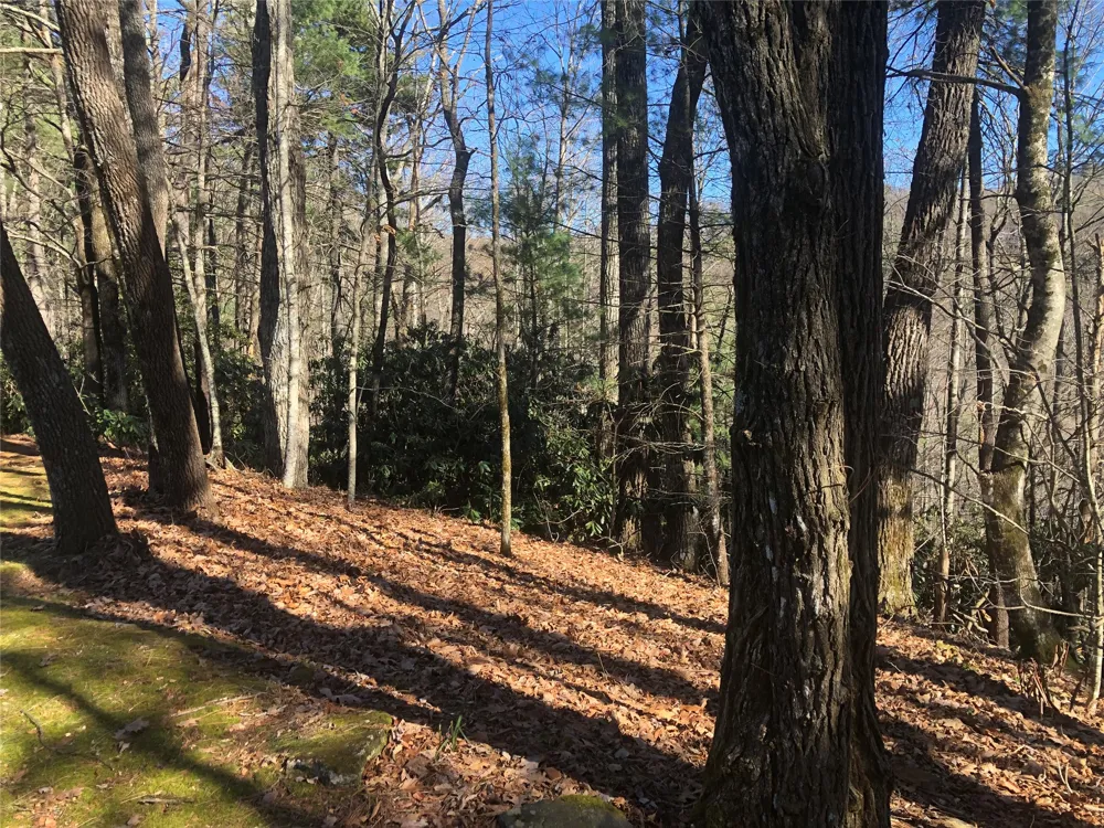 51 Cherokee Trace Cashiers, NC 28717