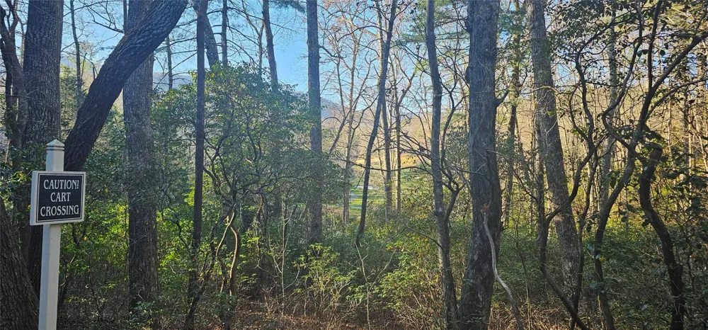 L002R Seminole Way Lake Toxaway, NC 28747