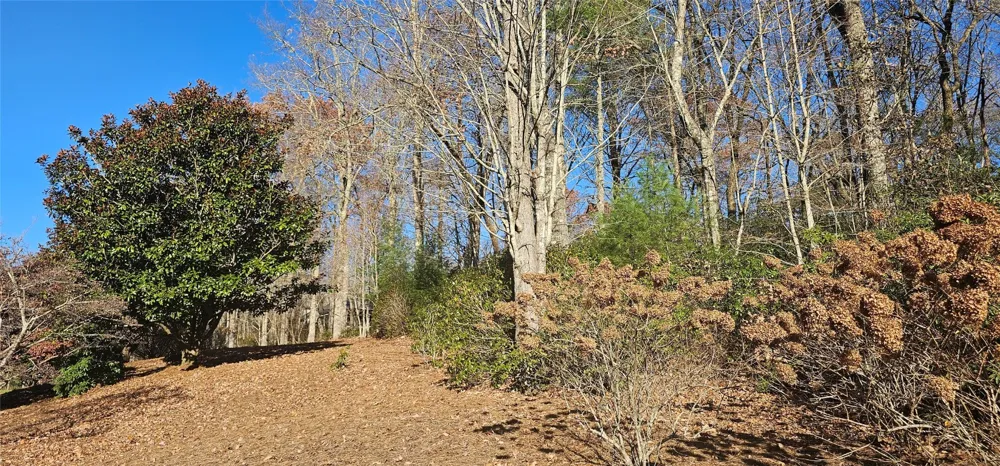 L002R Seminole Way Lake Toxaway, NC 28747