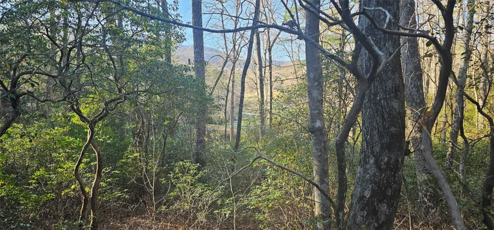 L002R Seminole Way Lake Toxaway, NC 28747