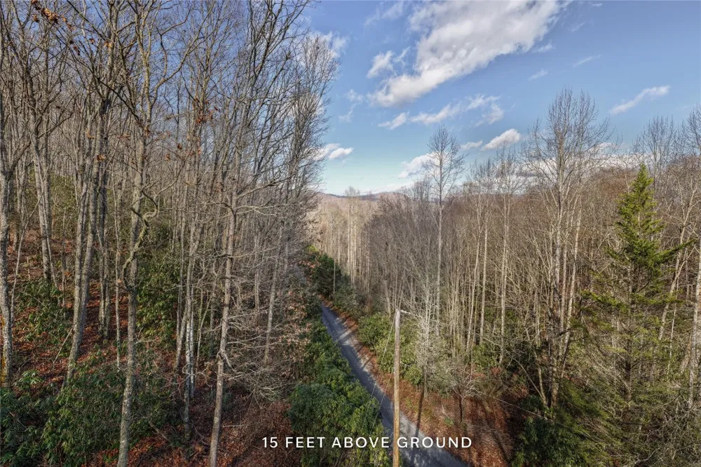 Lt D64 Rye Mountain Drive Glenville, NC 28736