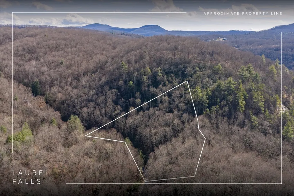 Lt D64 Rye Mountain Drive Glenville, NC 28736