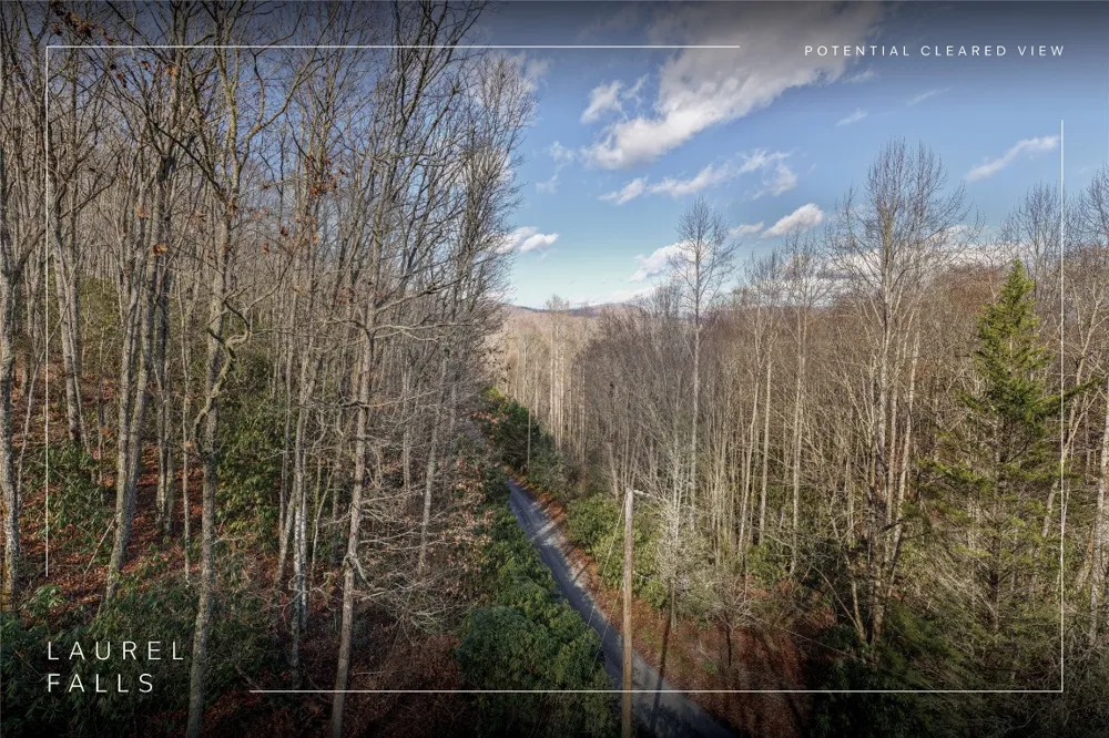 Lt D64 Rye Mountain Drive Glenville, NC 28736