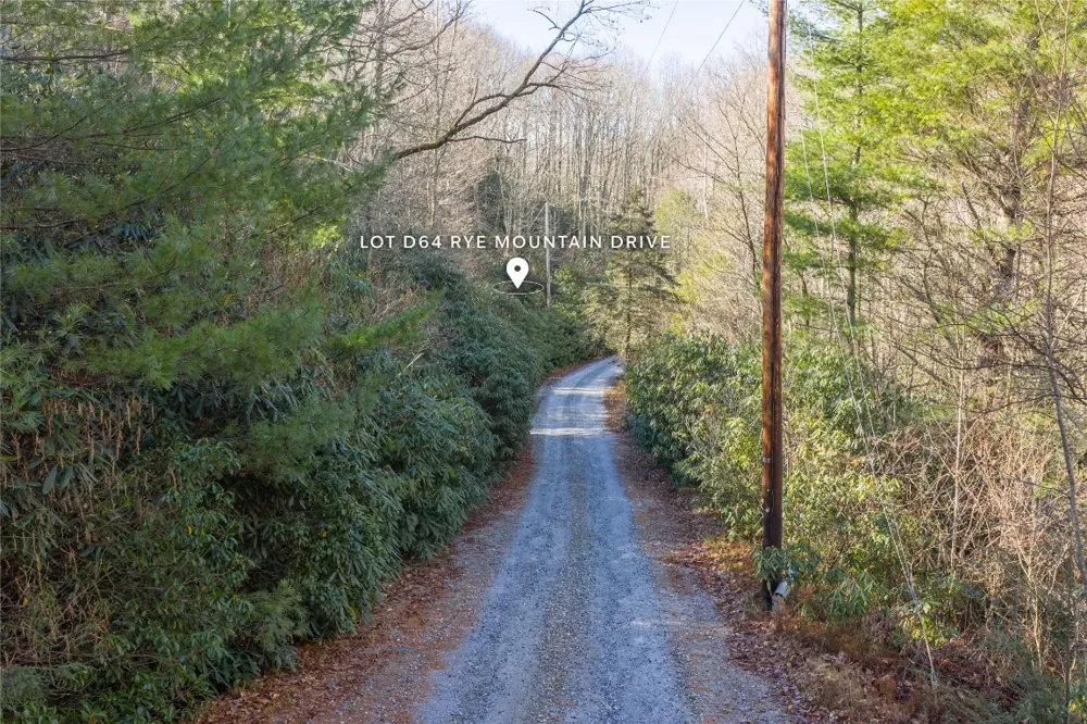 Lt D64 Rye Mountain Drive Glenville, NC 28736