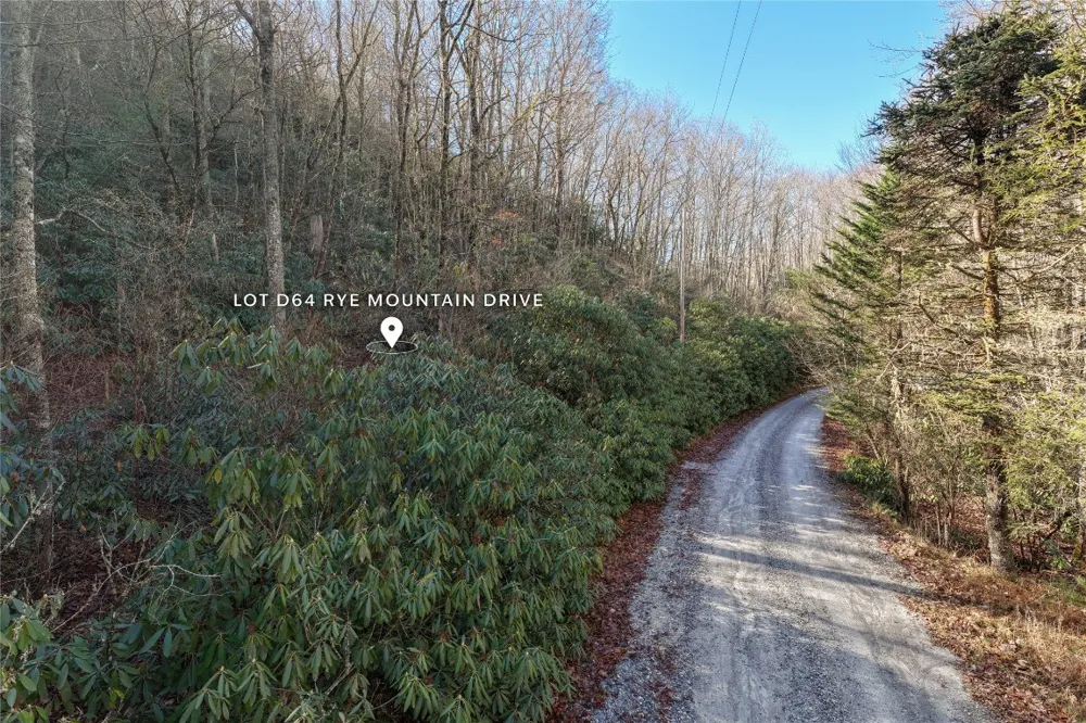 Lt D64 Rye Mountain Drive Glenville, NC 28736