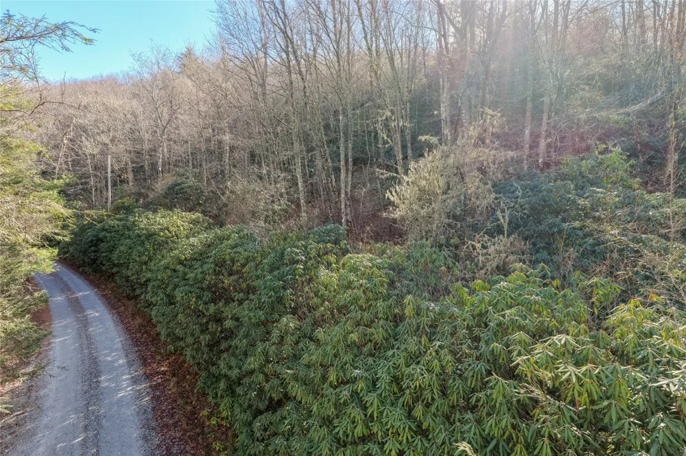 Lt D64 Rye Mountain Drive Glenville, NC 28736