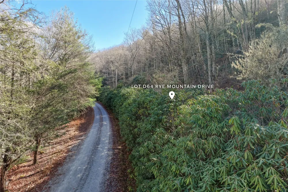Lt D64 Rye Mountain Drive Glenville, NC 28736