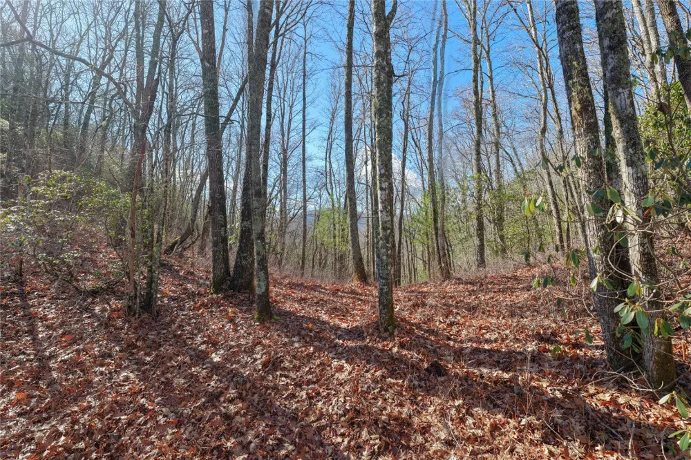Lt D64 Rye Mountain Drive Glenville, NC 28736