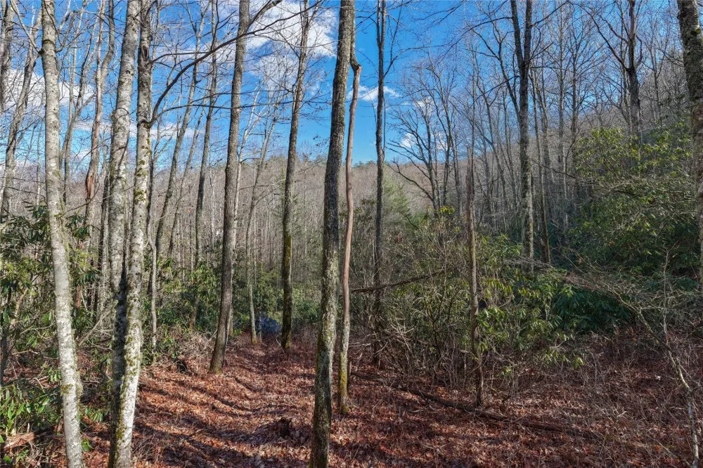 Lt D64 Rye Mountain Drive Glenville, NC 28736
