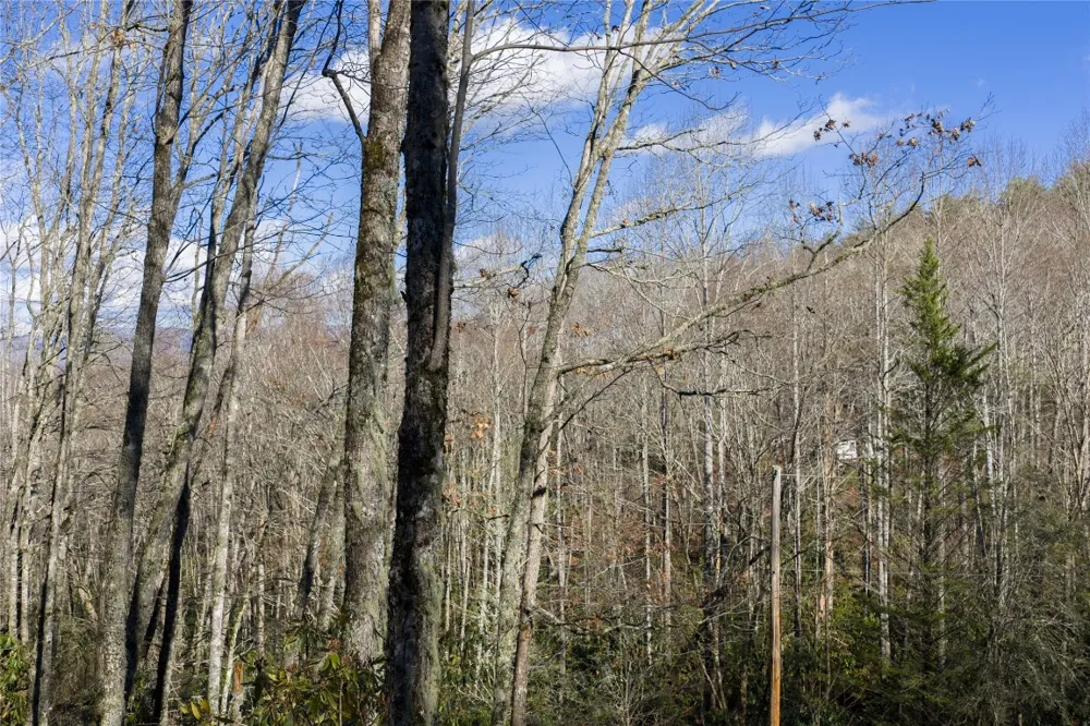 Lt D64 Rye Mountain Drive Glenville, NC 28736
