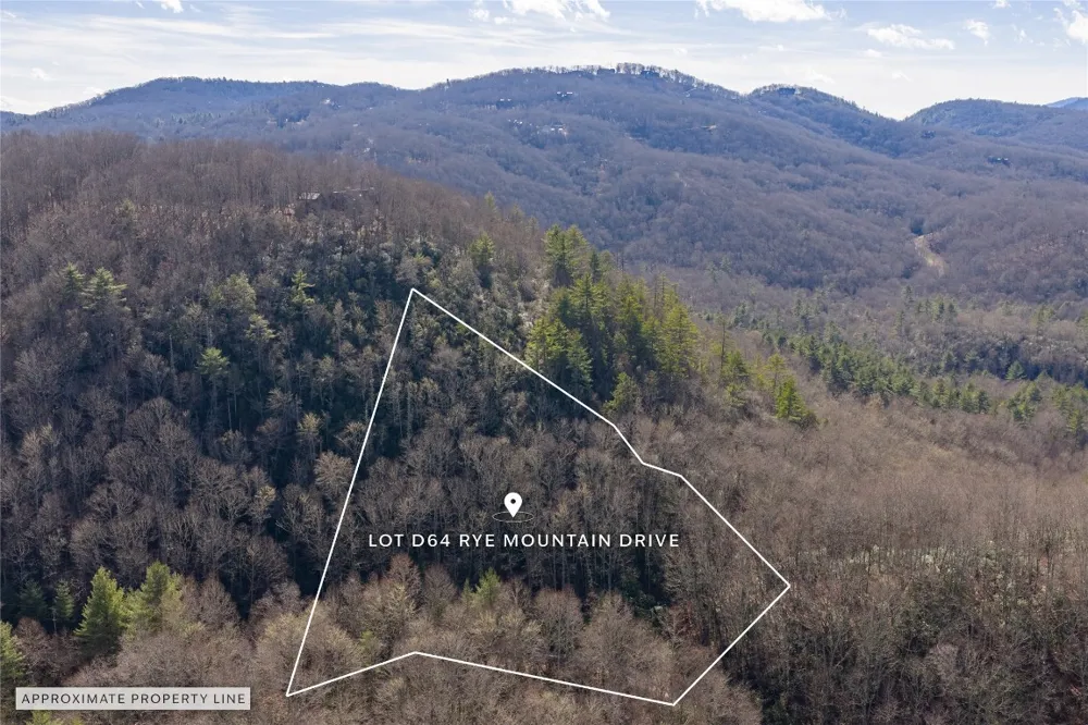 Lt D64 Rye Mountain Drive Glenville, NC 28736