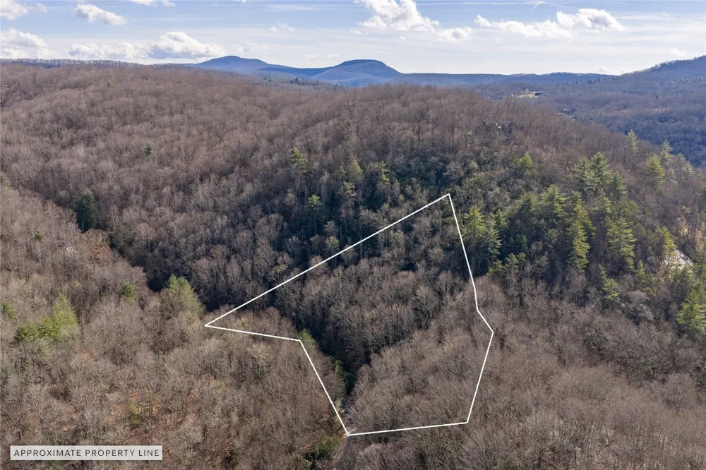 Lt D64 Rye Mountain Drive Glenville, NC 28736