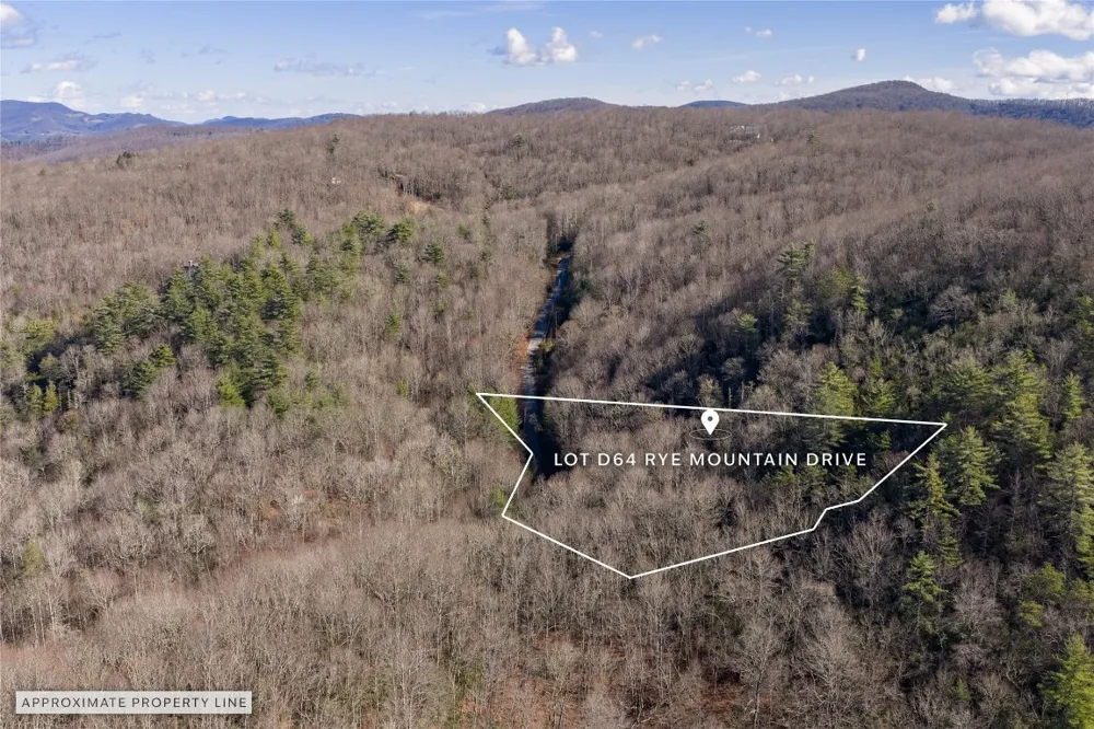 Lt D64 Rye Mountain Drive Glenville, NC 28736