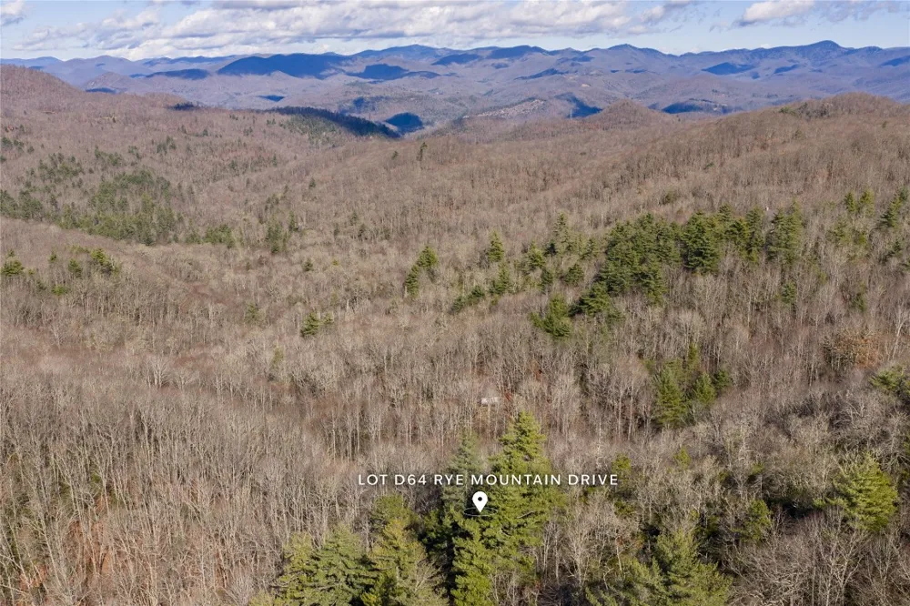 Lt D64 Rye Mountain Drive Glenville, NC 28736