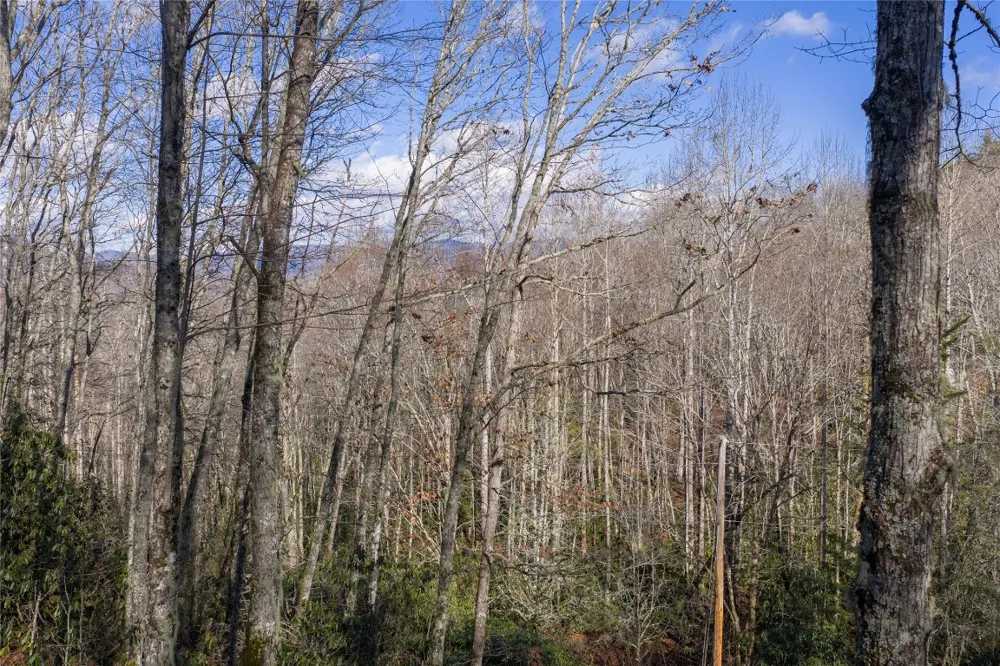 Lt D64 Rye Mountain Drive Glenville, NC 28736