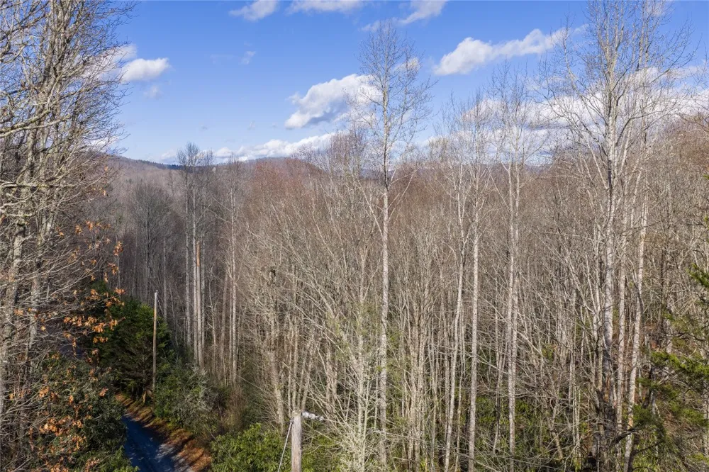 Lt D64 Rye Mountain Drive Glenville, NC 28736