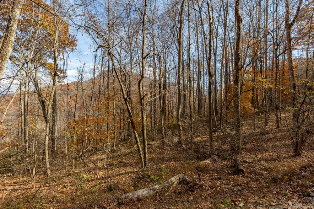 107 Vistawilla Drive Glenville, NC 28736