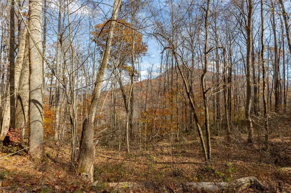 107 Vistawilla Drive Glenville, NC 28736