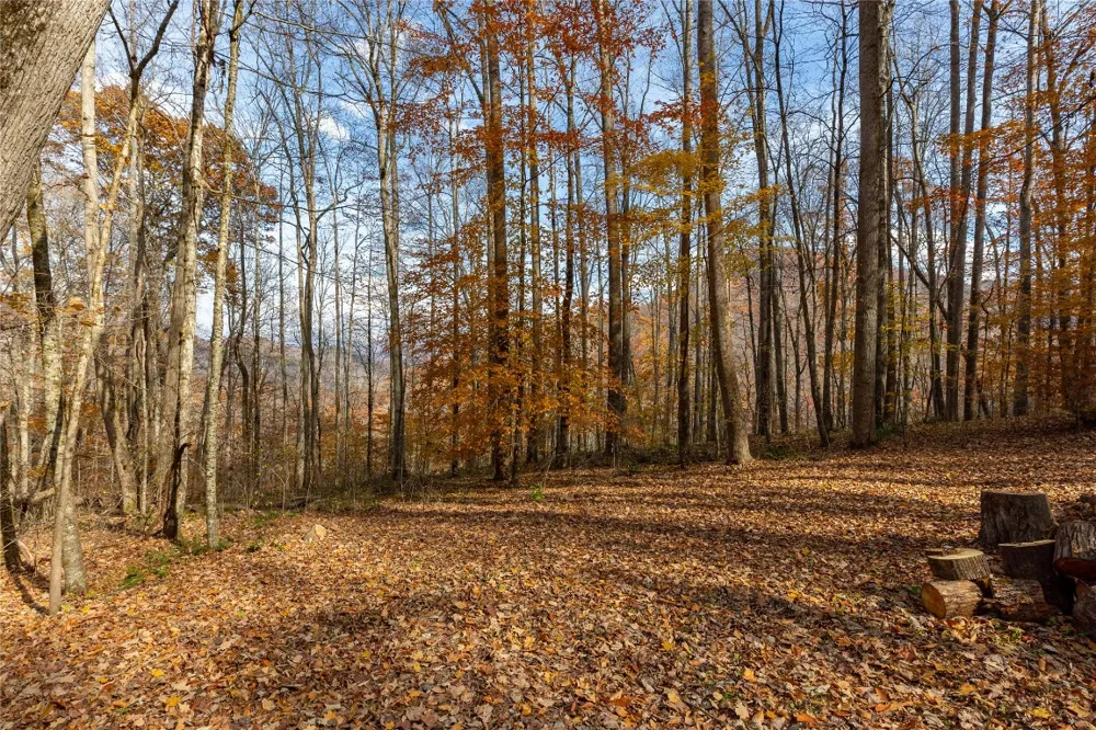 107 Vistawilla Drive Glenville, NC 28736
