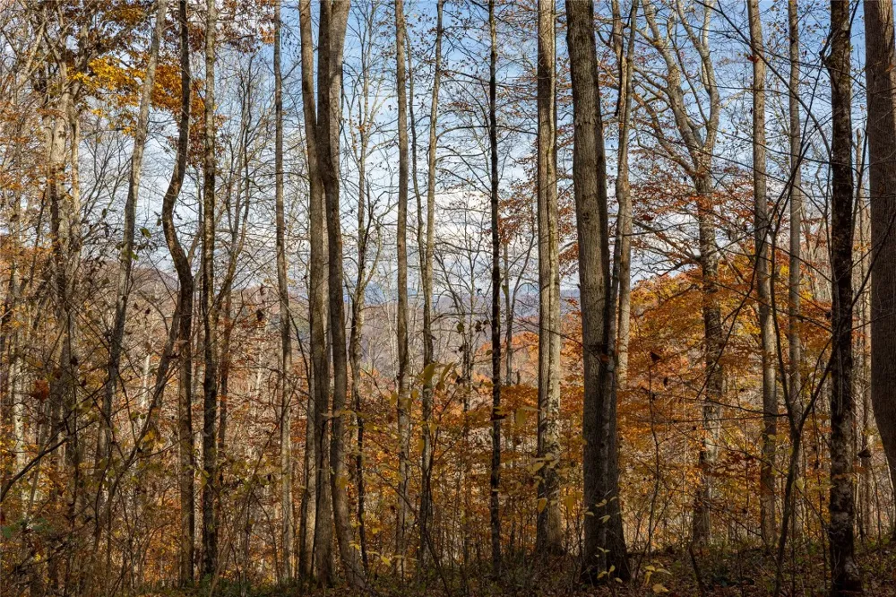 107 Vistawilla Drive Glenville, NC 28736