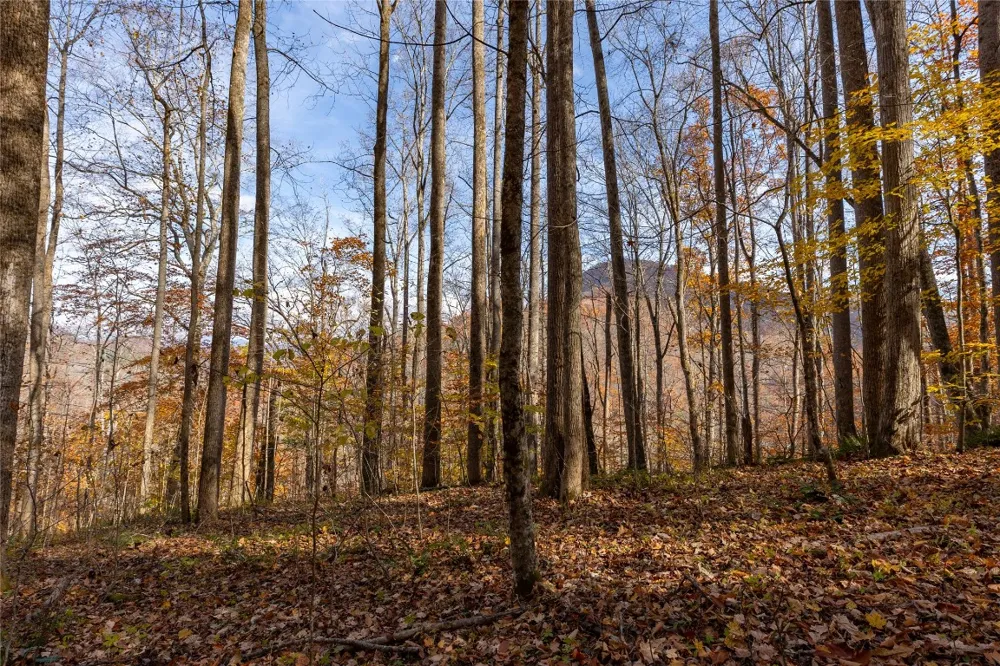 107 Vistawilla Drive Glenville, NC 28736