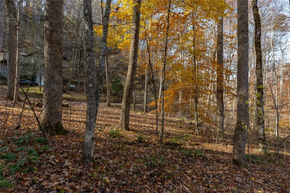 107 Vistawilla Drive Glenville, NC 28736