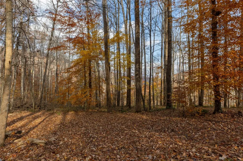 107 Vistawilla Drive Glenville, NC 28736