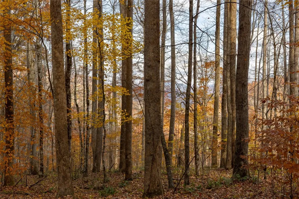 107 Vistawilla Drive Glenville, NC 28736